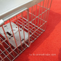 Live Mouse Cage Plastic Lop Humane Humane